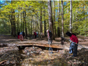 A group of students in the woods sampling a creek. There are five students holding nets and looking into the creek.