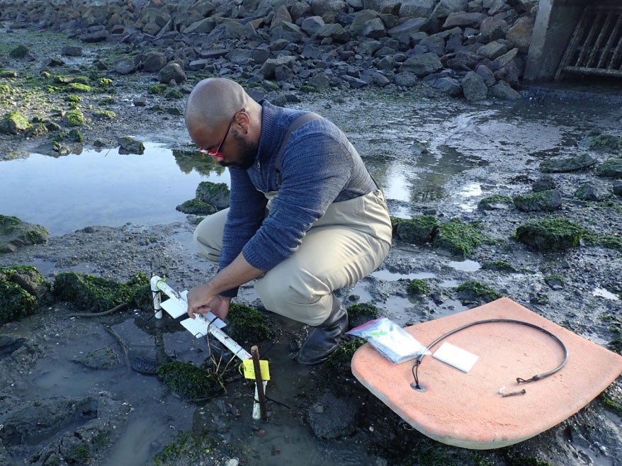 A photo of a person in a blue shirt and overalls with boots in a creek bed, they are looking down at a pipe and are setting up an oyster monitoring system.